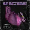 Astray - Vices - Single